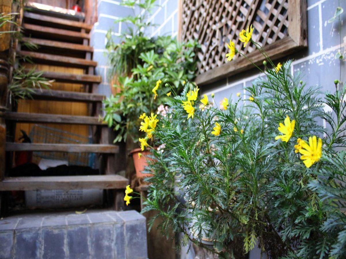 Rongludi Inn 丽江 外观 照片